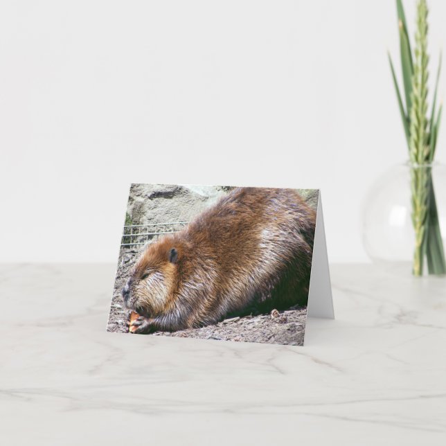 Carte Beaver (Devant)