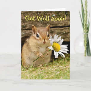 Carte Bébé adorable Chipmunk avec la marguerite - Allez