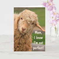 Bébé Angora Chèvre Fête des mères