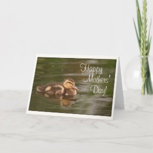 Carte Bébé Canards Canards Canards Animaux Faune Fête de