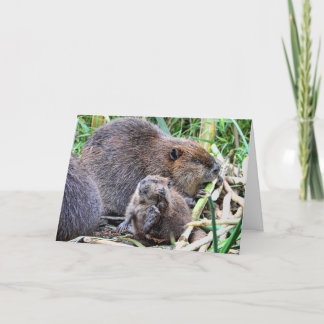 Carte Bébé castor et photo de famille