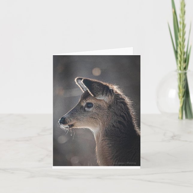 Carte Bébé cerf aux oreilles les plus coupantes focalisa (Devant)