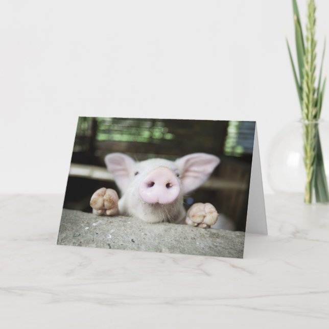 Carte Bébé Cochon en Stylo, Piglet (Devant)