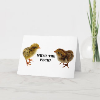 Carte Bébé Coturnix et bobwhite Quail Chicks