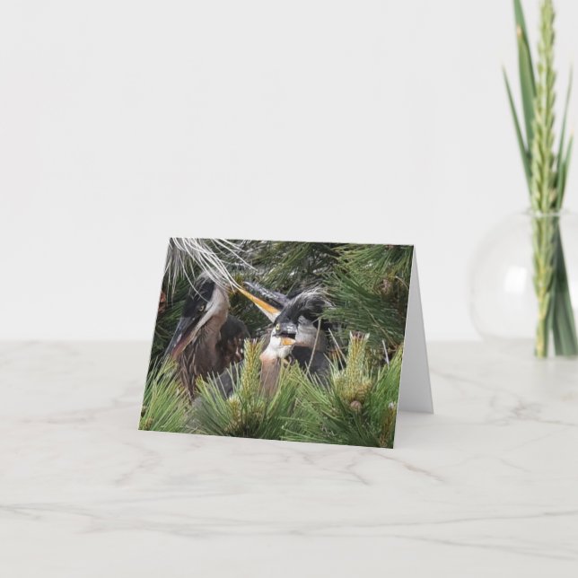 Carte Bébé Grand Héron Bleu (Devant)