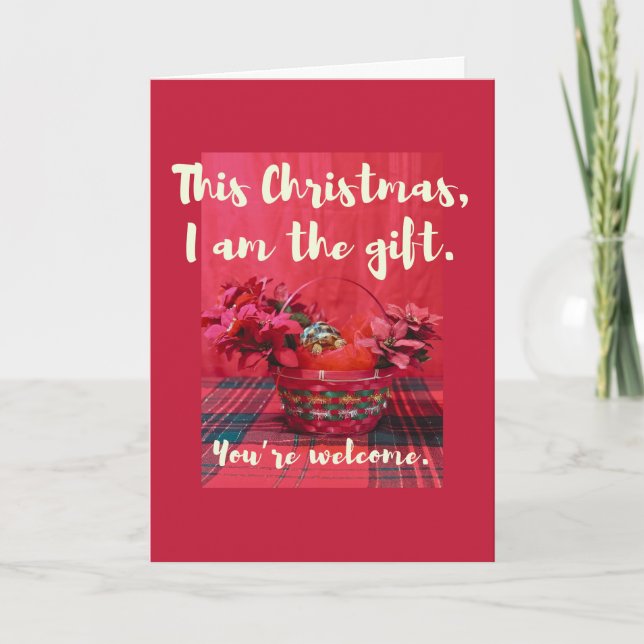 Carte Bébé mignonne Sulcata Tortoise en panier poinsetti (Devant)