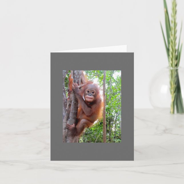 Carte Bébé secouru Orangutan Uttuh (Devant)