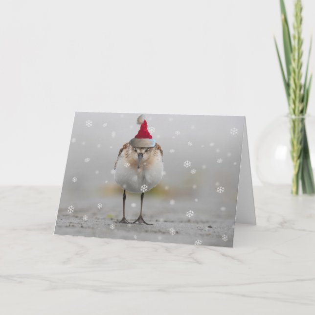 Carte Bécasseaux Endormis Noël (Devant)