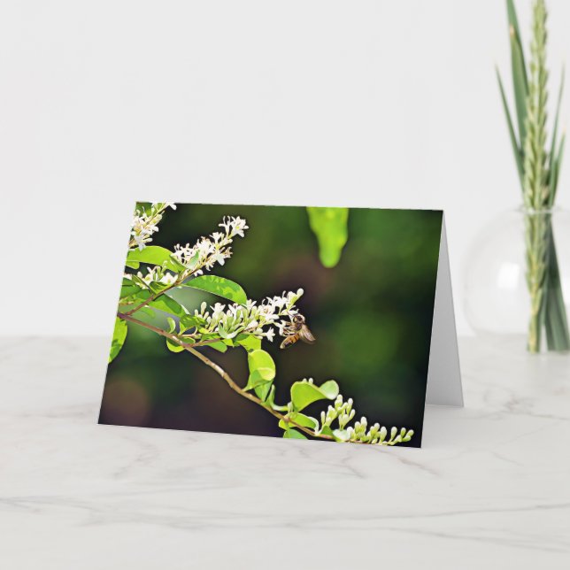 Carte Bee Blossom Scripture Card Psaume 119:103 (Devant)