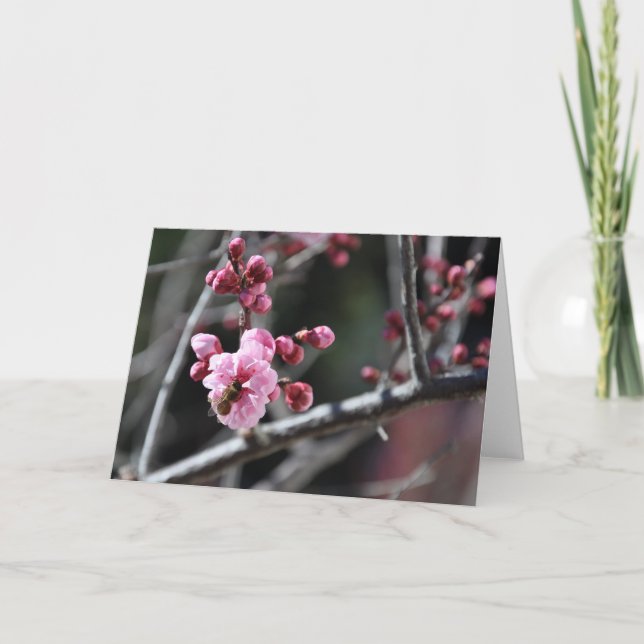 Carte Bee in Flower (Devant)