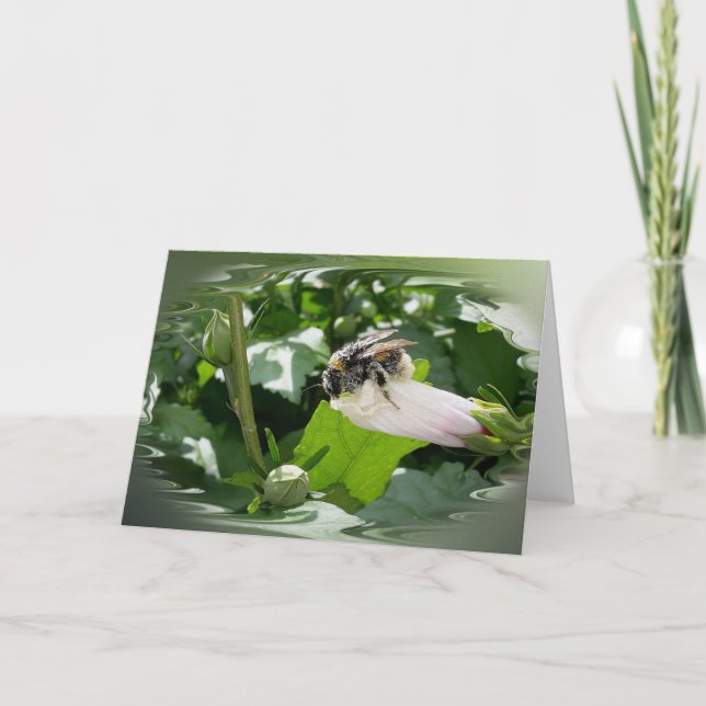 Carte Bee in summer (Devant)
