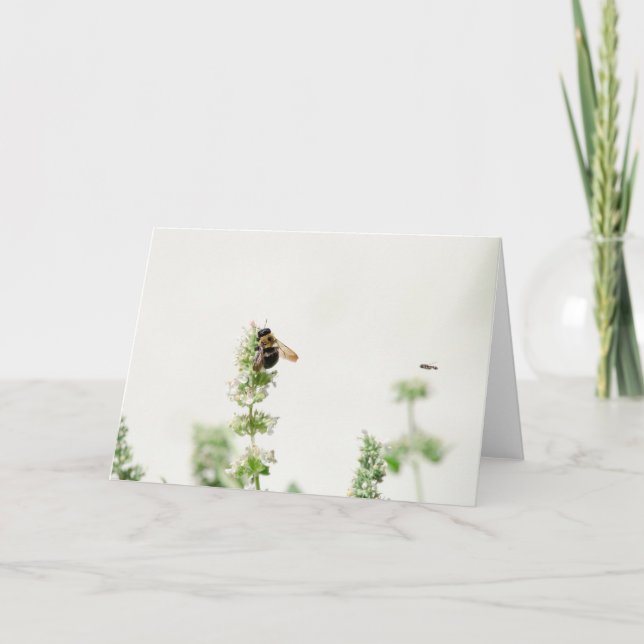 Carte Beeline (Devant)