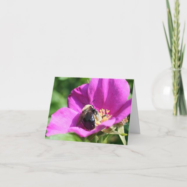 Carte Bees On Pink Rose Nature Photography Note (Devant)