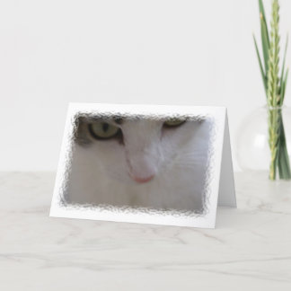 Carte Bel anniversaire