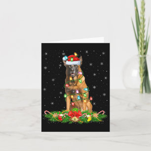 Carte Belge Malinois Feux de Noël Chien Père Noël amusan