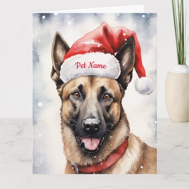 Carte Belgique Malinoi Noël personnalisé (Devant)