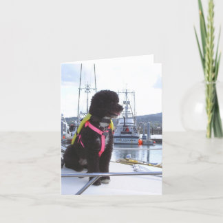 Carte Bella et le receveur de chien