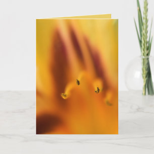 Carte Belle Abstraite Lily Lily Lank de Tigre Orange