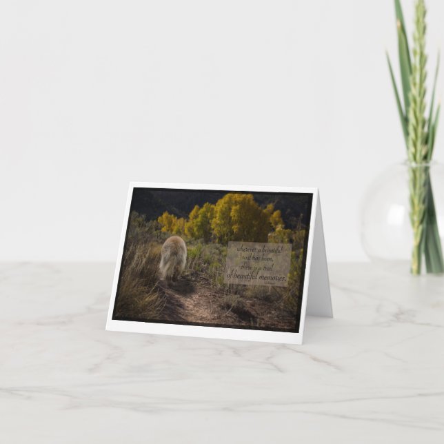 Carte belle âme leonberger sympathie (Devant)