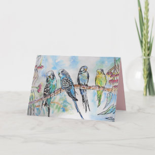 Carte Belle Budgies Budgerigars et Gum Blossom Card