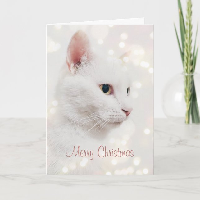 Carte Belle Chat Blanc avec lumières de Noël (Devant)