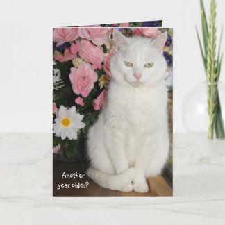 Carte Belle Chat Personnalisable Anniversaire Féminin