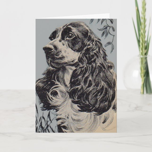 Carte belle cocker spaniel (Devant)