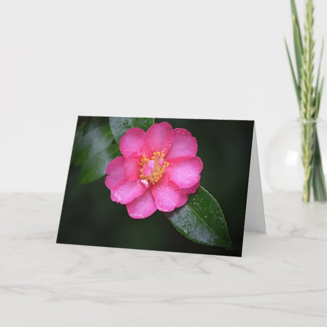 Carte Belle Fleur de Camellia Rose après une pluie (Devant)