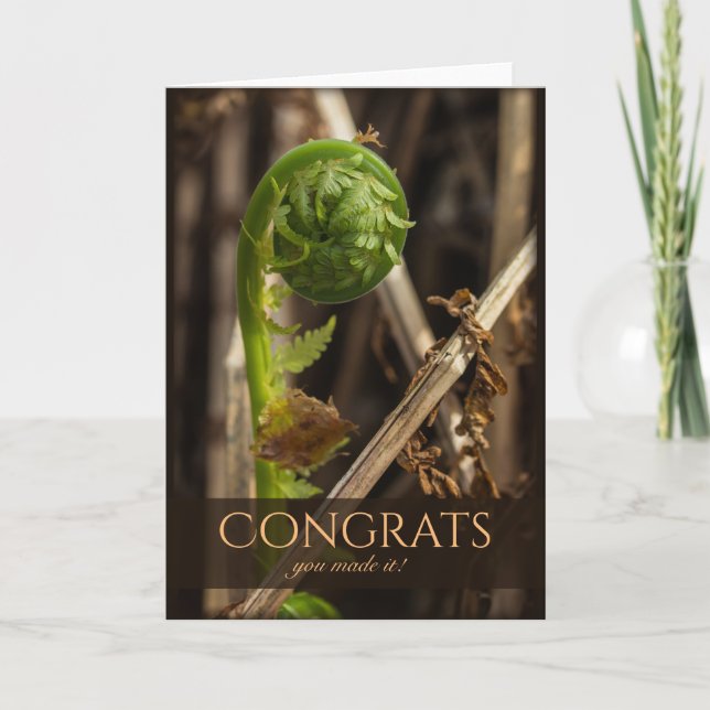 Carte Belle fougère surmontant l'hiver CC0917 Fêtes (Devant)