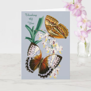 Carte Belle illustration Vintage de papillon floral