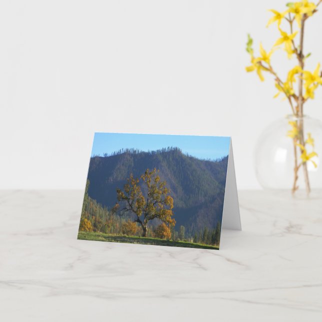 Carte Belle journée d'automne... (Fleur jaune)