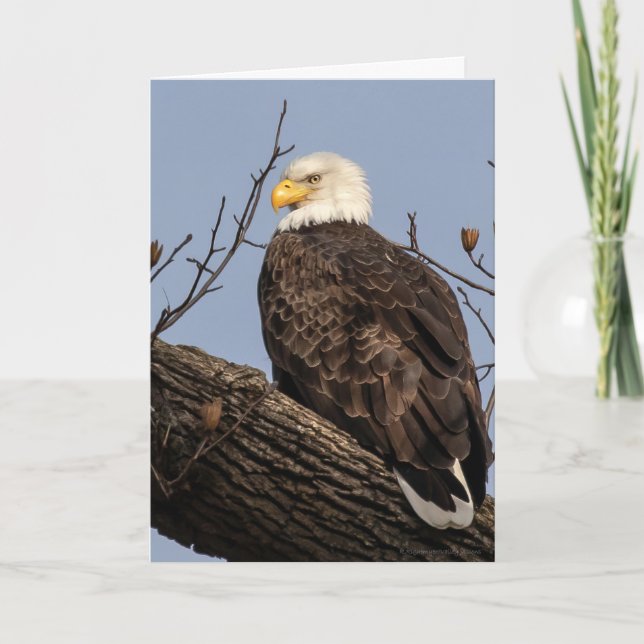 Carte Belle maman (Aigle) (Devant)