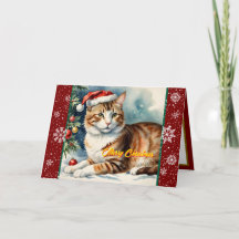 Belle Noël Vacances Collection moderne