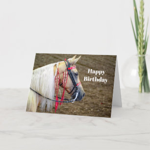 Carte Belle Palomino Horse Photo Anniversaire