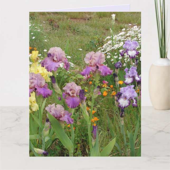 Carte Belle Photo florale de fleur d'iris violet (Devant)