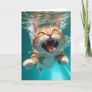 Carte Belle plongée de chat sous l'eau dans la piscine v