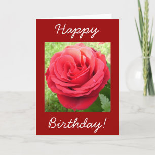 Carte Belle Rose Rouge Joyeux Anniversaire