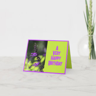 Carte Belle Salvia violette brillante Fleurs Anniversair