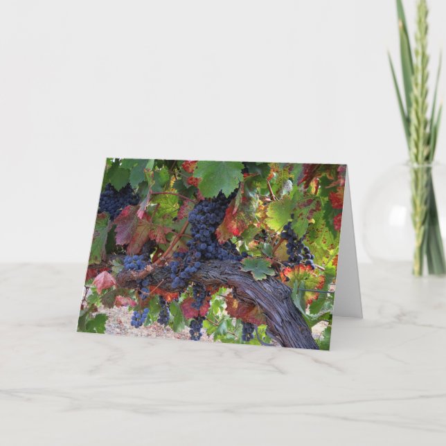 Carte Belle Vignoble Automne avec raisins (Devant)