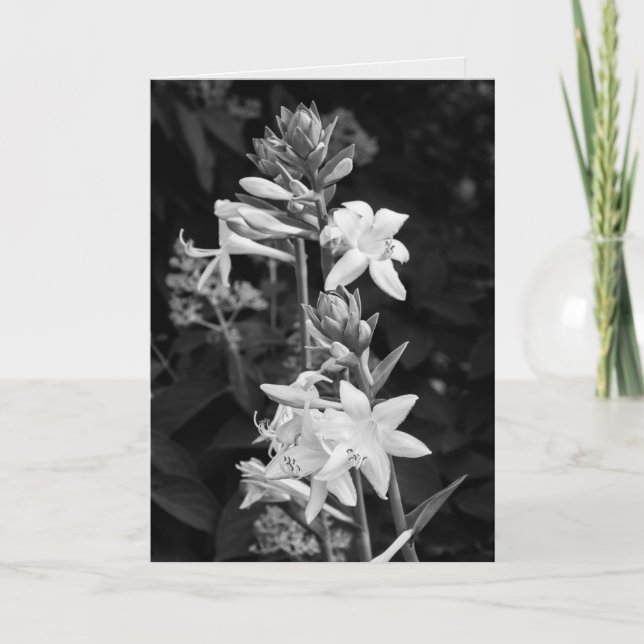 Carte Belles Fleurs Noir et Blanc Fête des Mères (Devant)