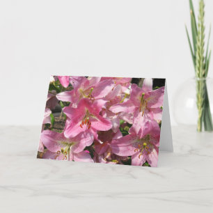 Carte Belles Lys Roses