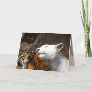 Carte Bengale Blanc Tigre Aimer Anniversaire N'importe q