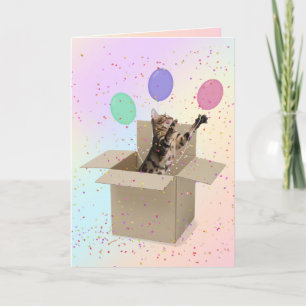Carte Bengale chat en boîte carton anniversaire