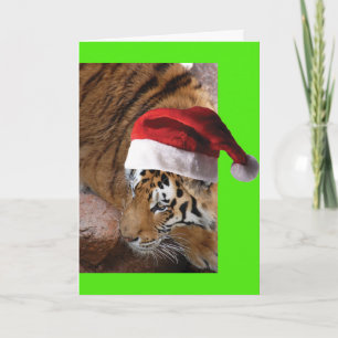 Carte Bengale Tiger Père Noël