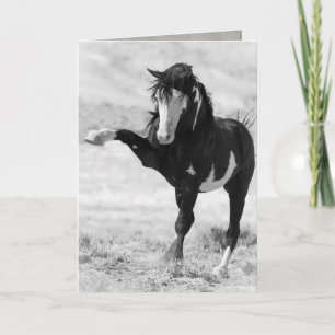 Carte Benson Strike Out Wild Horse Grey Card