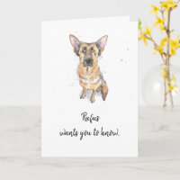 berger allemand, Alsace customise la fête des mère