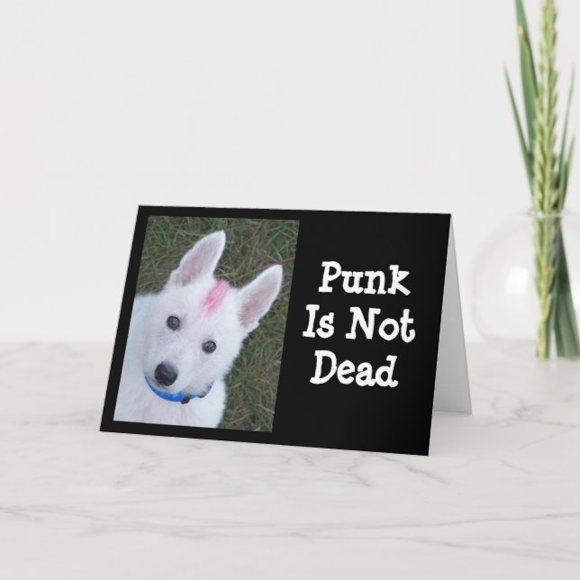 Carte Berger allemand blanc w. Mohawk (Devant)