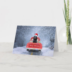 Carte Berger allemand noir Snow assis à Noël