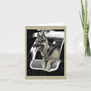 Carte berger allemande en service - "K9 Ronin"