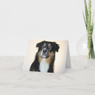 Carte Berger Australien Aussie Chien Bonjour Amour